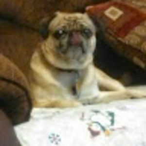 Meet your Posher, Larry